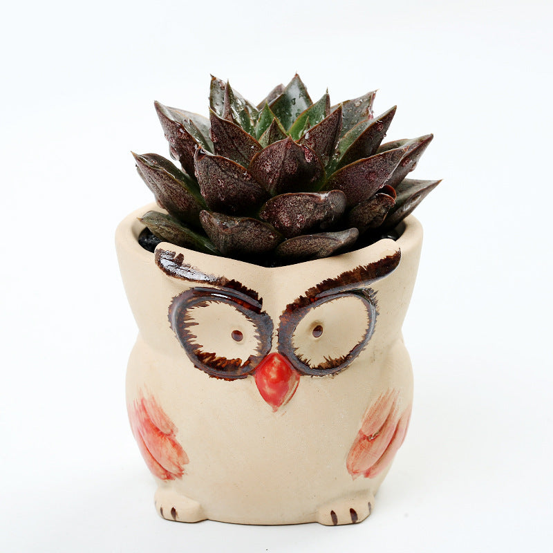 Ceramic Animal Succulent Planter